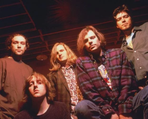 Gin Blossoms image