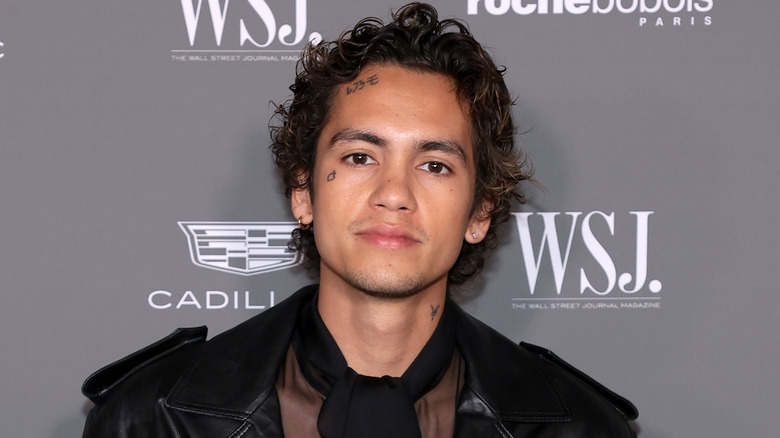 Dominic Fike image