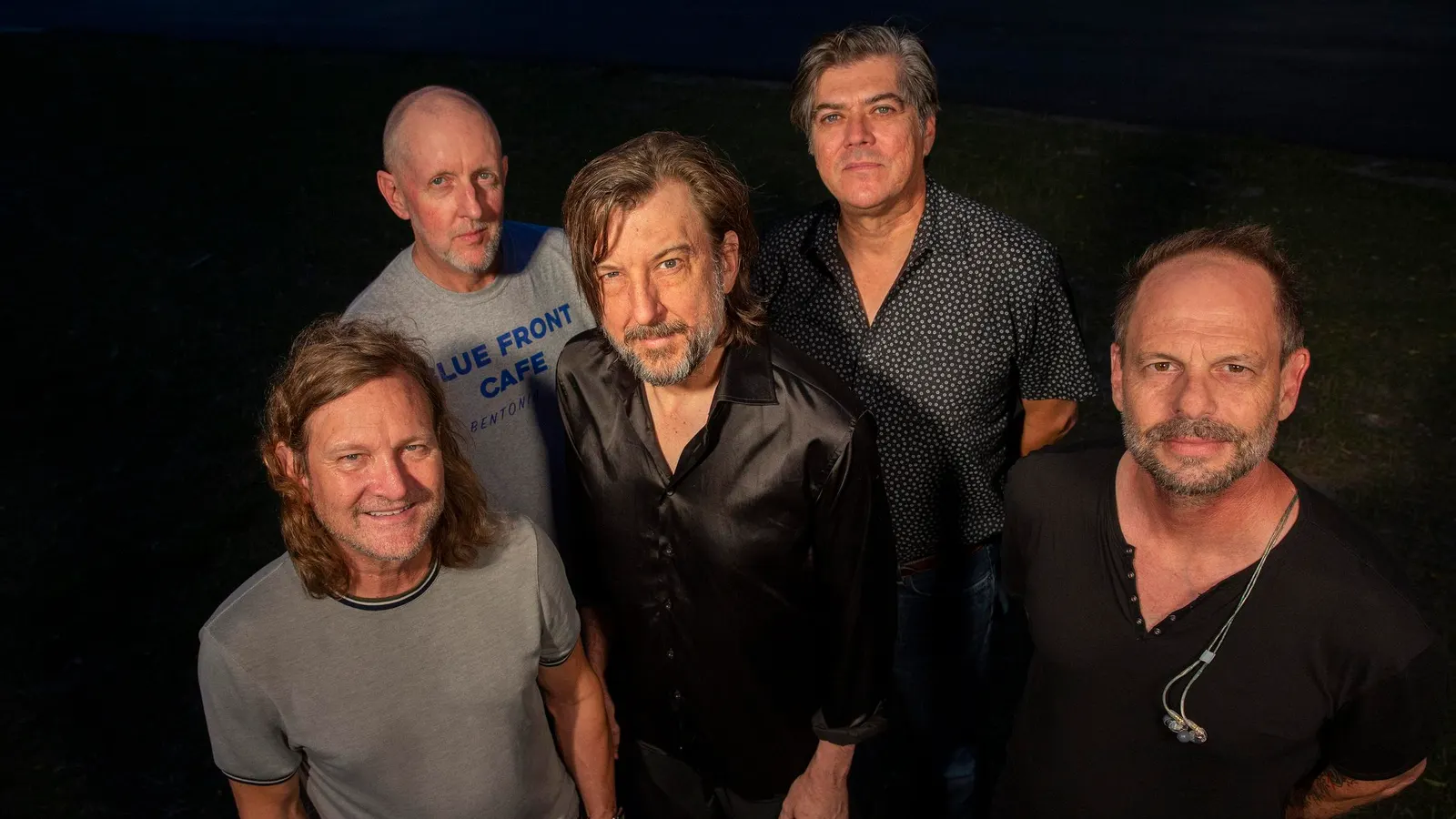 Gin Blossoms image