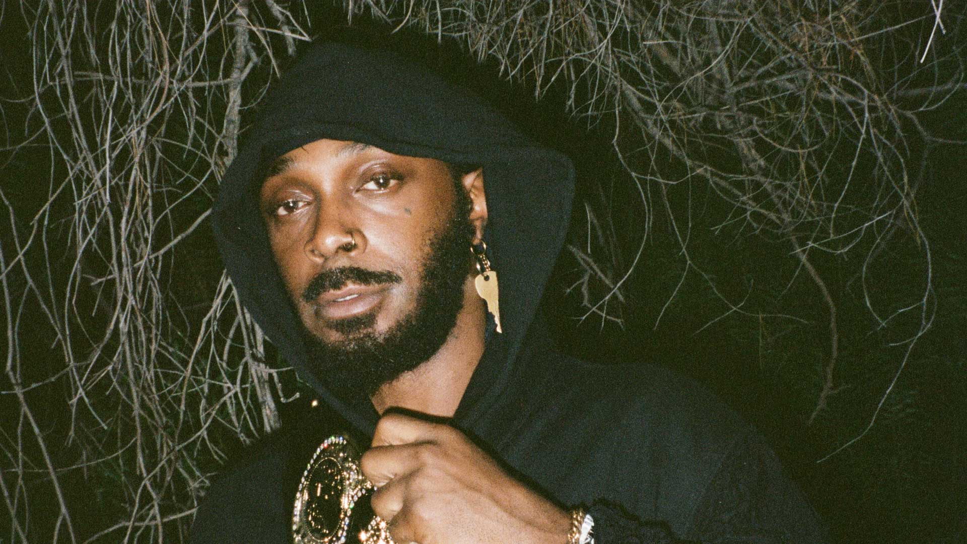 Jpegmafia image