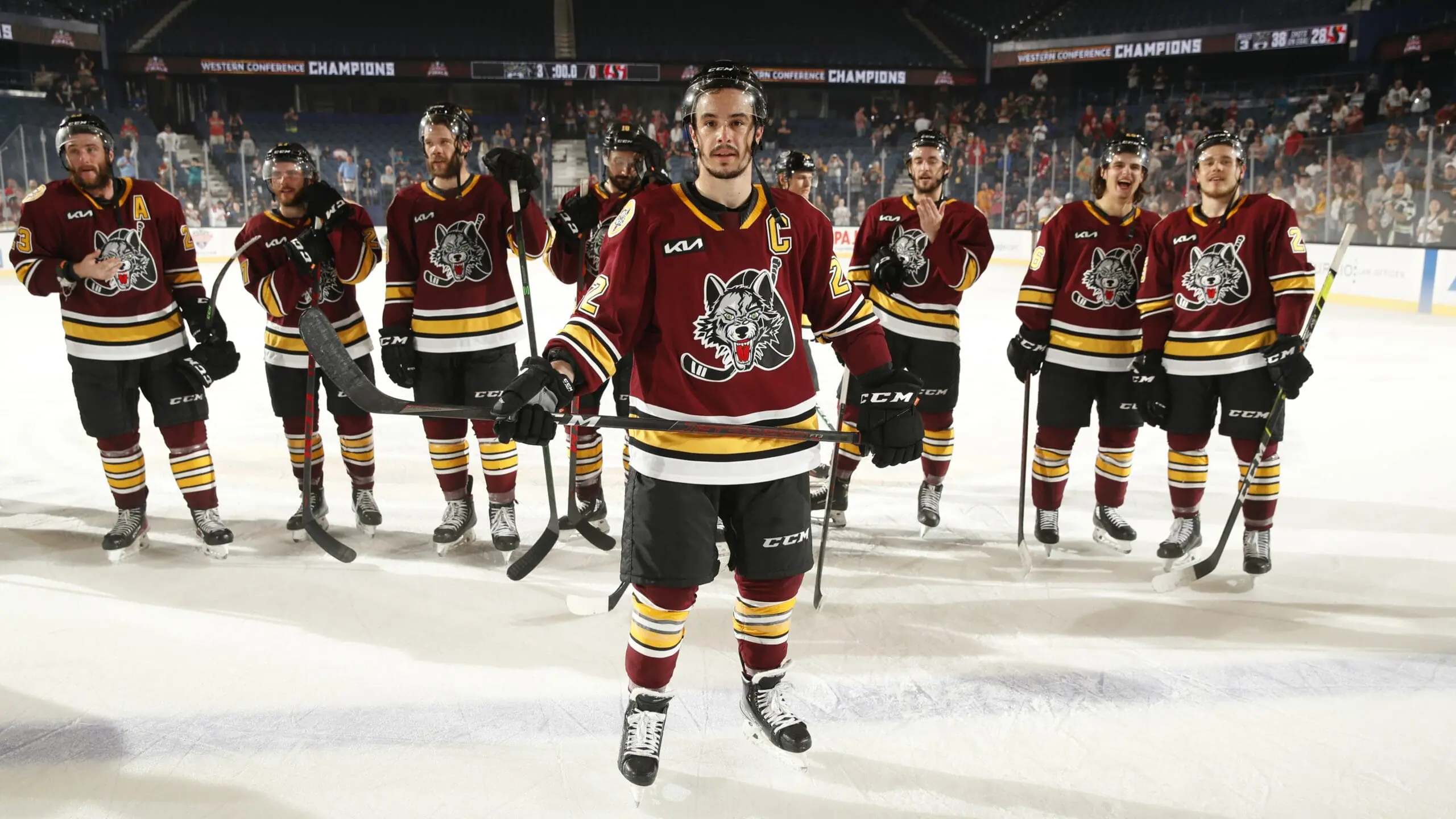 Chicago Wolves image