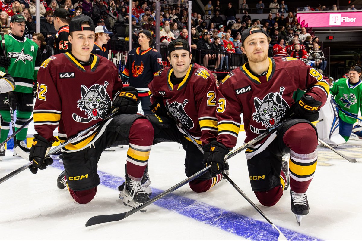 Chicago Wolves image
