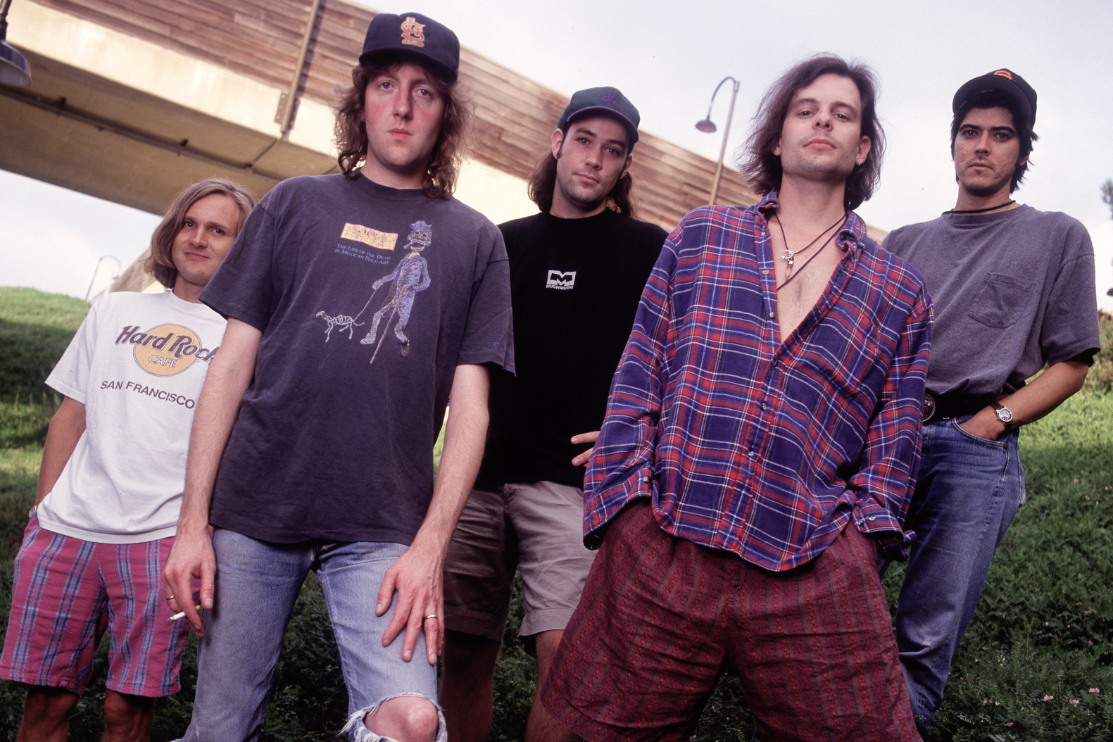 Gin Blossoms image