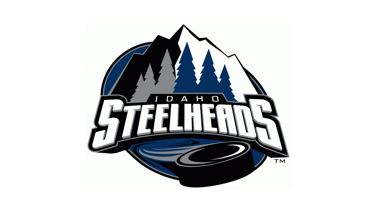 Idaho Steelheads image