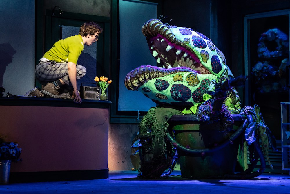 Little Shop Of Horrors image