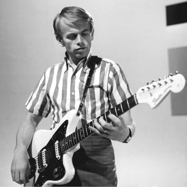 Al Jardine and The Pet Sounds Band