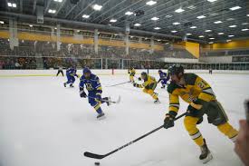 Alaska Anchorage Seawolves Hockey tickets in Tempe