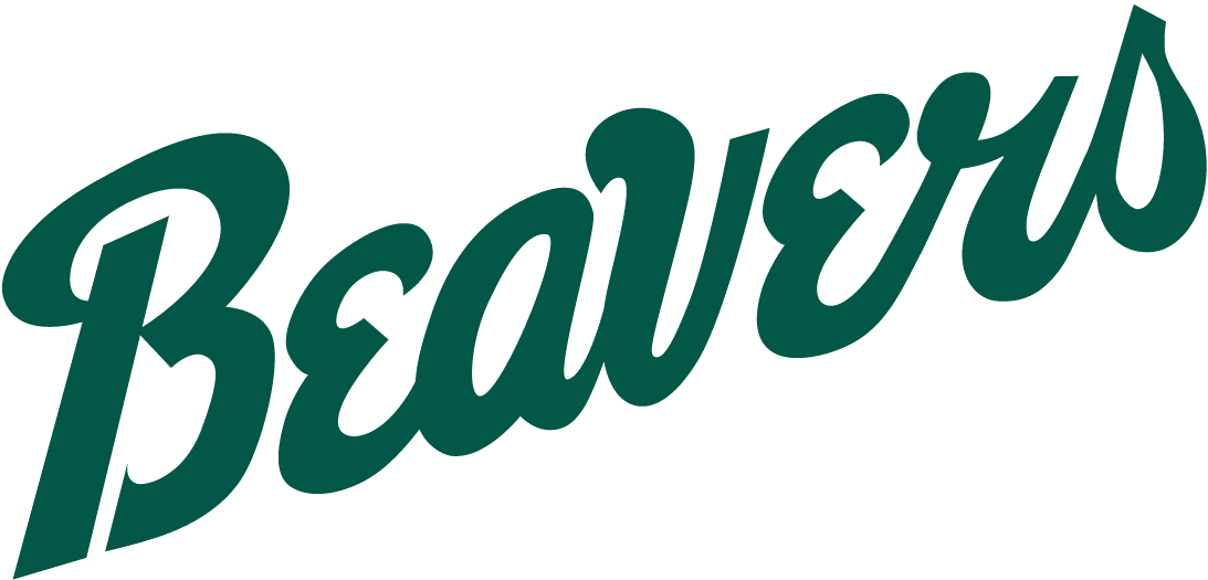 Bemidji State Beavers tickets in Bemidji