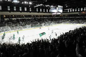 Bemidji State Beavers Hockey