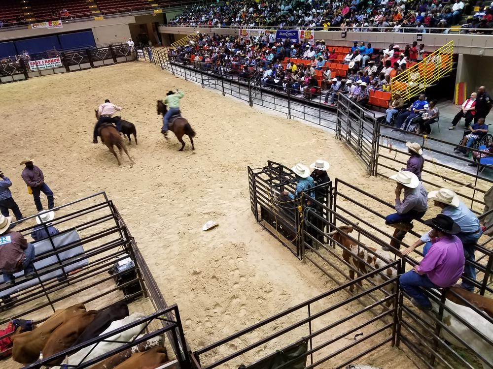 Black Diamond Rodeo