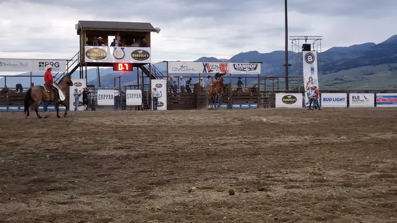 Bozeman Stampede