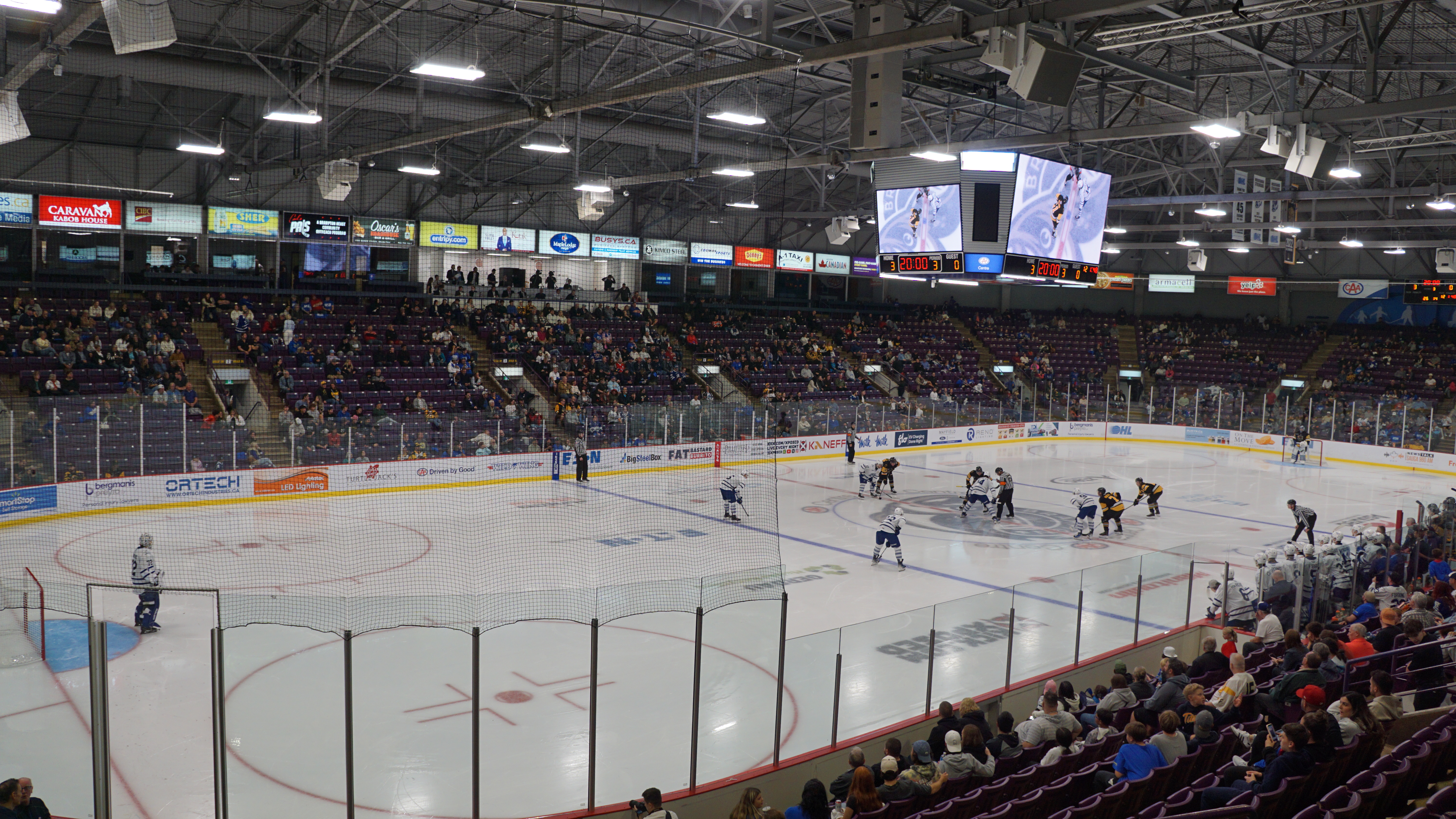 Brantford Bulldogs