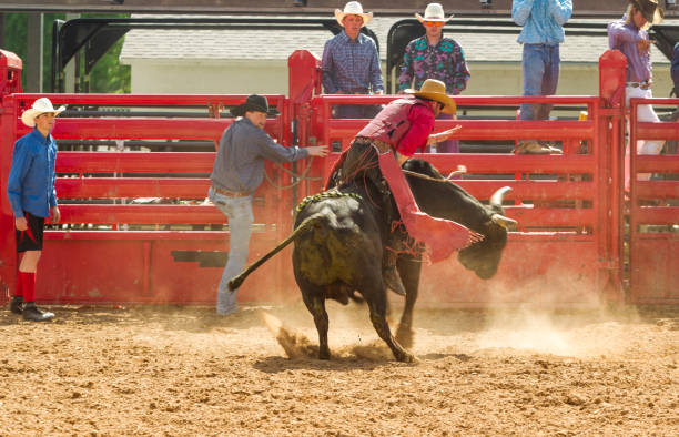 Bull Bash