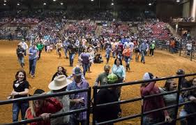 Bulls, Bands And Barrels