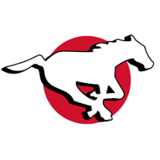 Calgary Stampeders tickets in Calgary