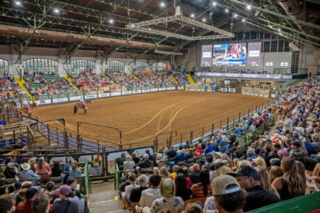 Cowtown Rodeo