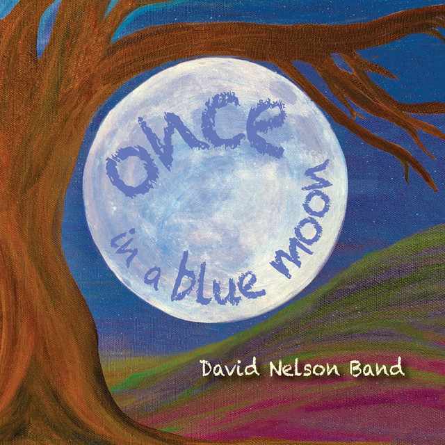 David Nelson Band tickets in Novato, CA