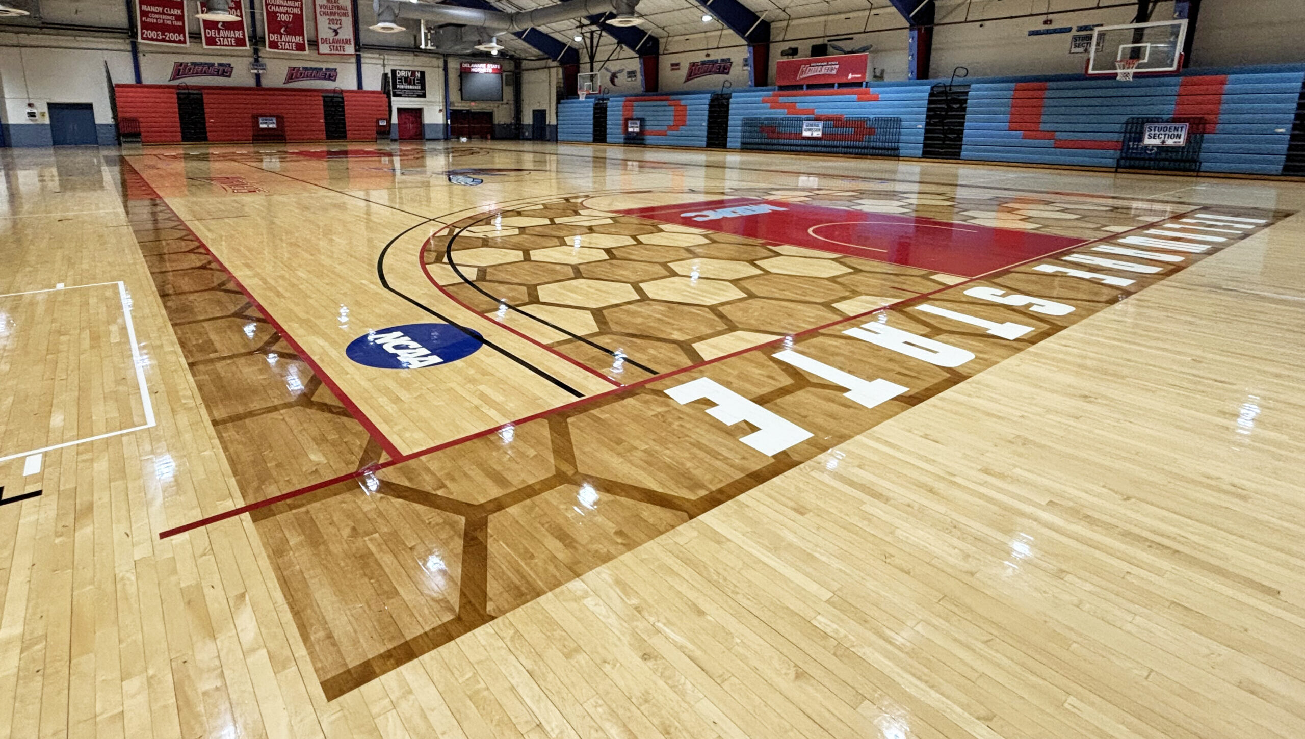 Delaware State Hornets Women's Basketball