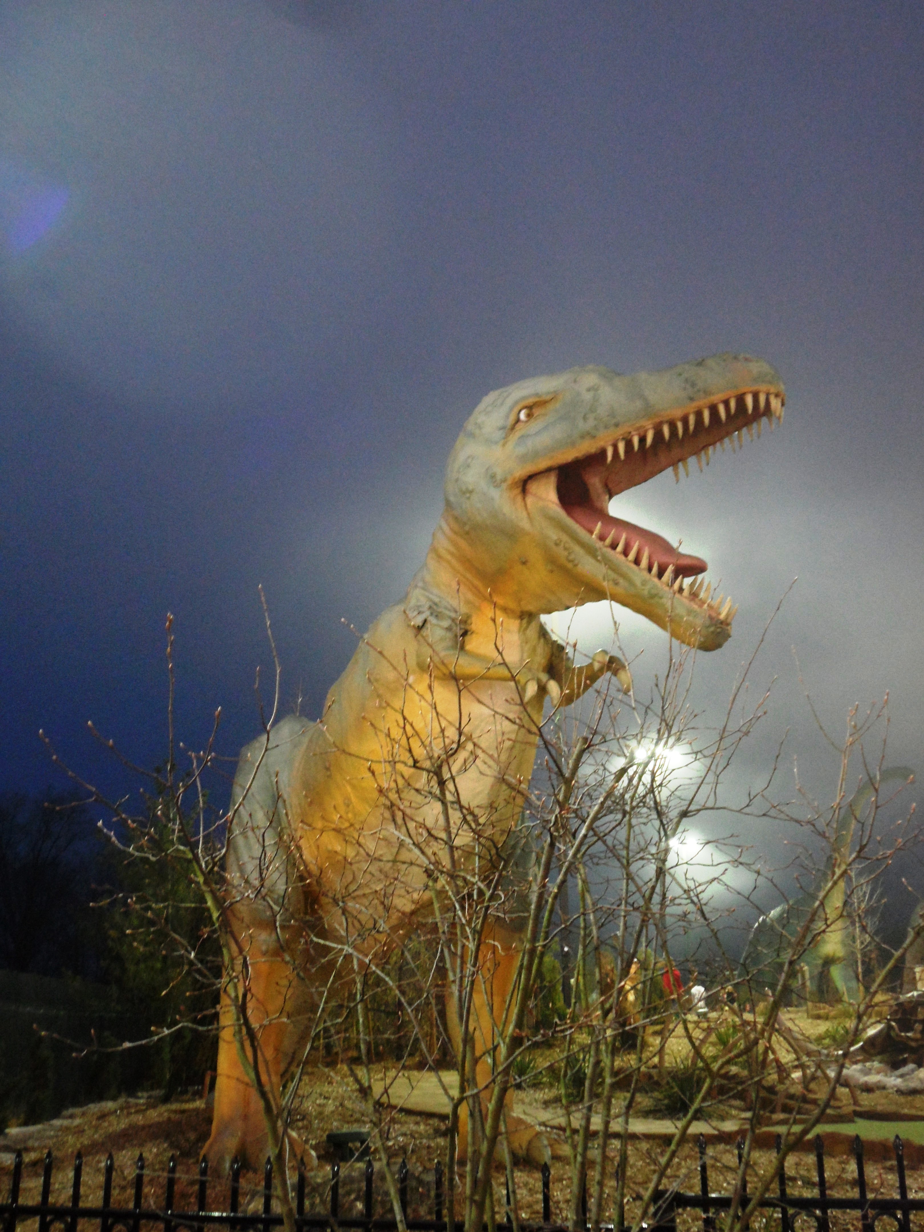 Dinosaur Adventure