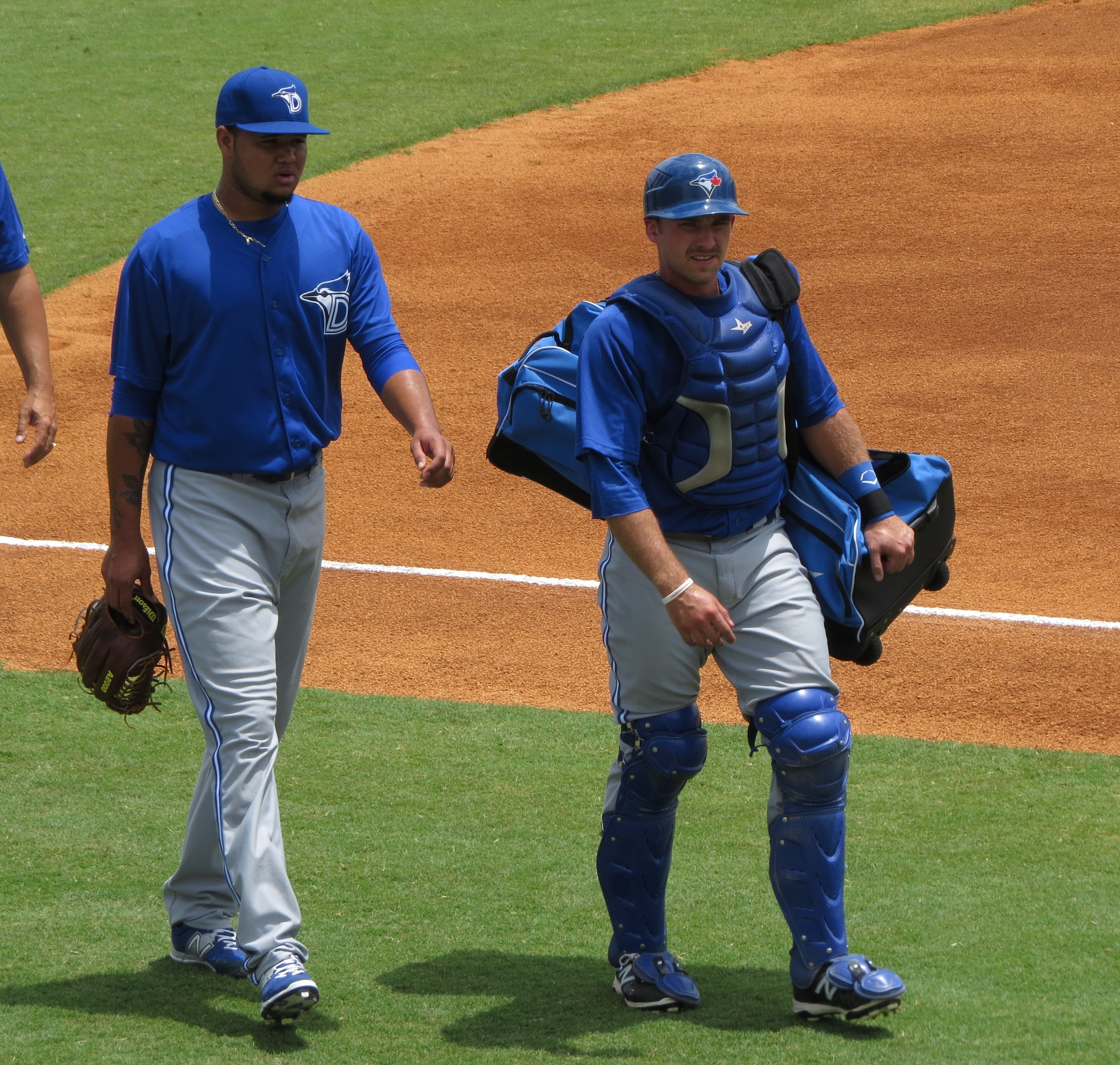 Jupiter Hammerheads