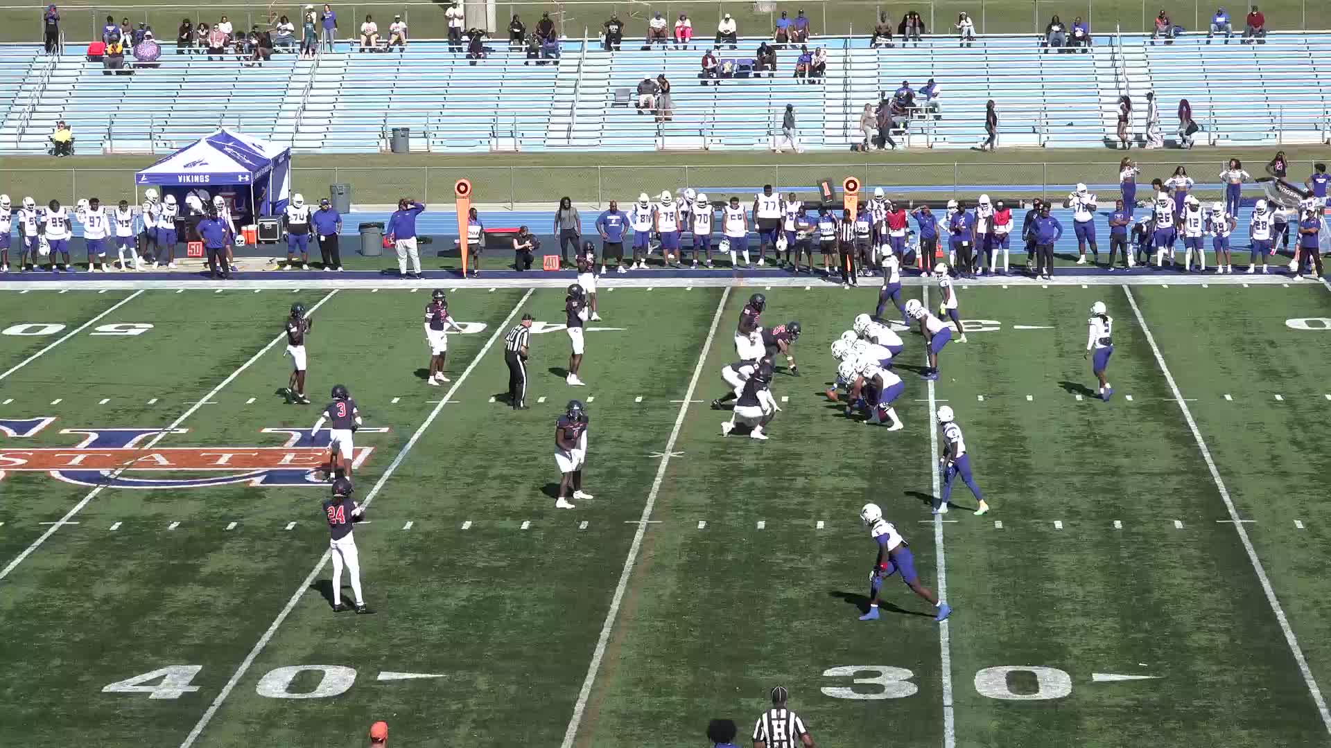Elizabeth City State University Vikings