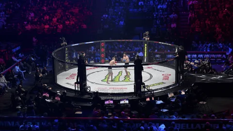 Excitefight MMA