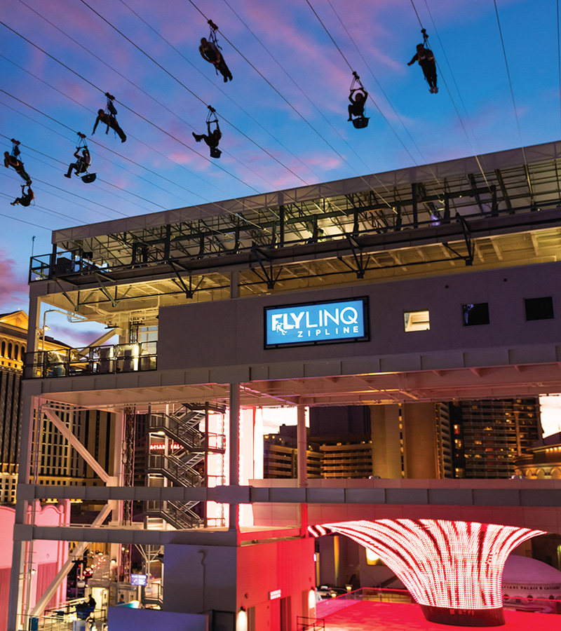 Fly Linq Zipline