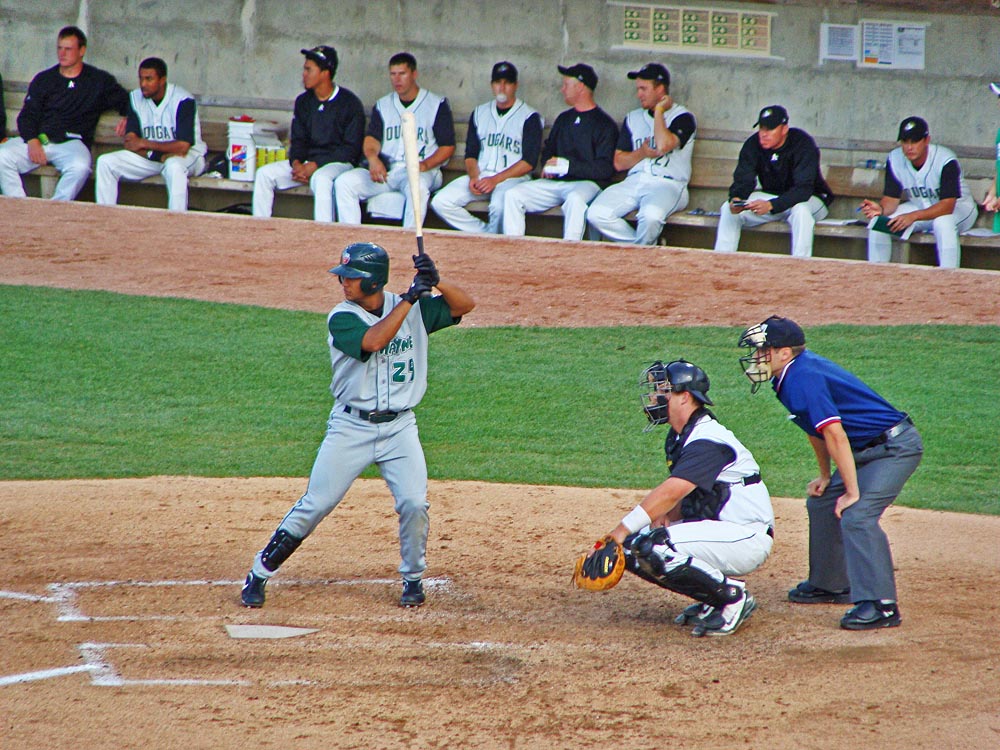 Great Lakes Loons
