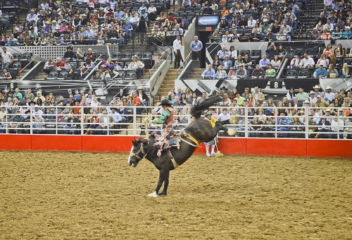 Franklin Rodeo