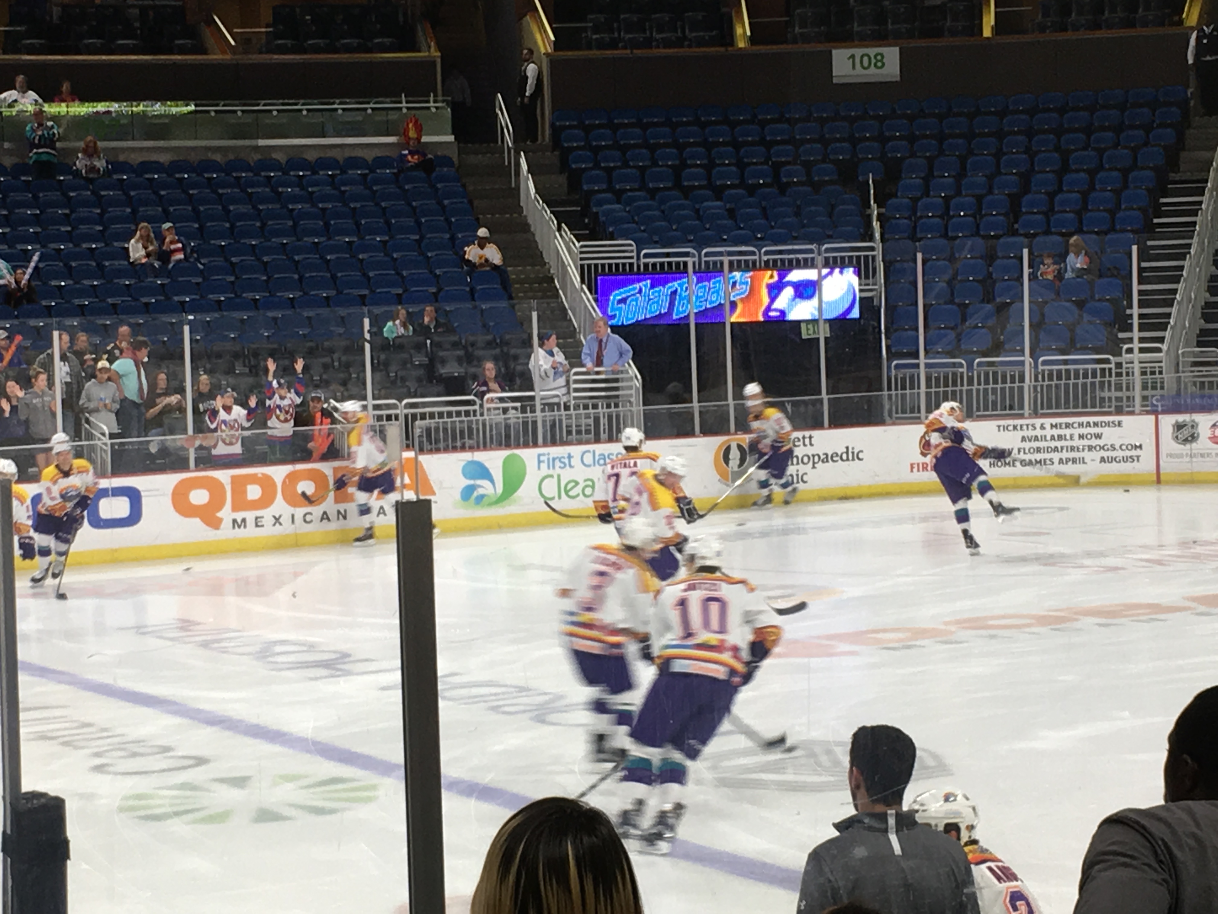 Greenville Swamp Rabbits