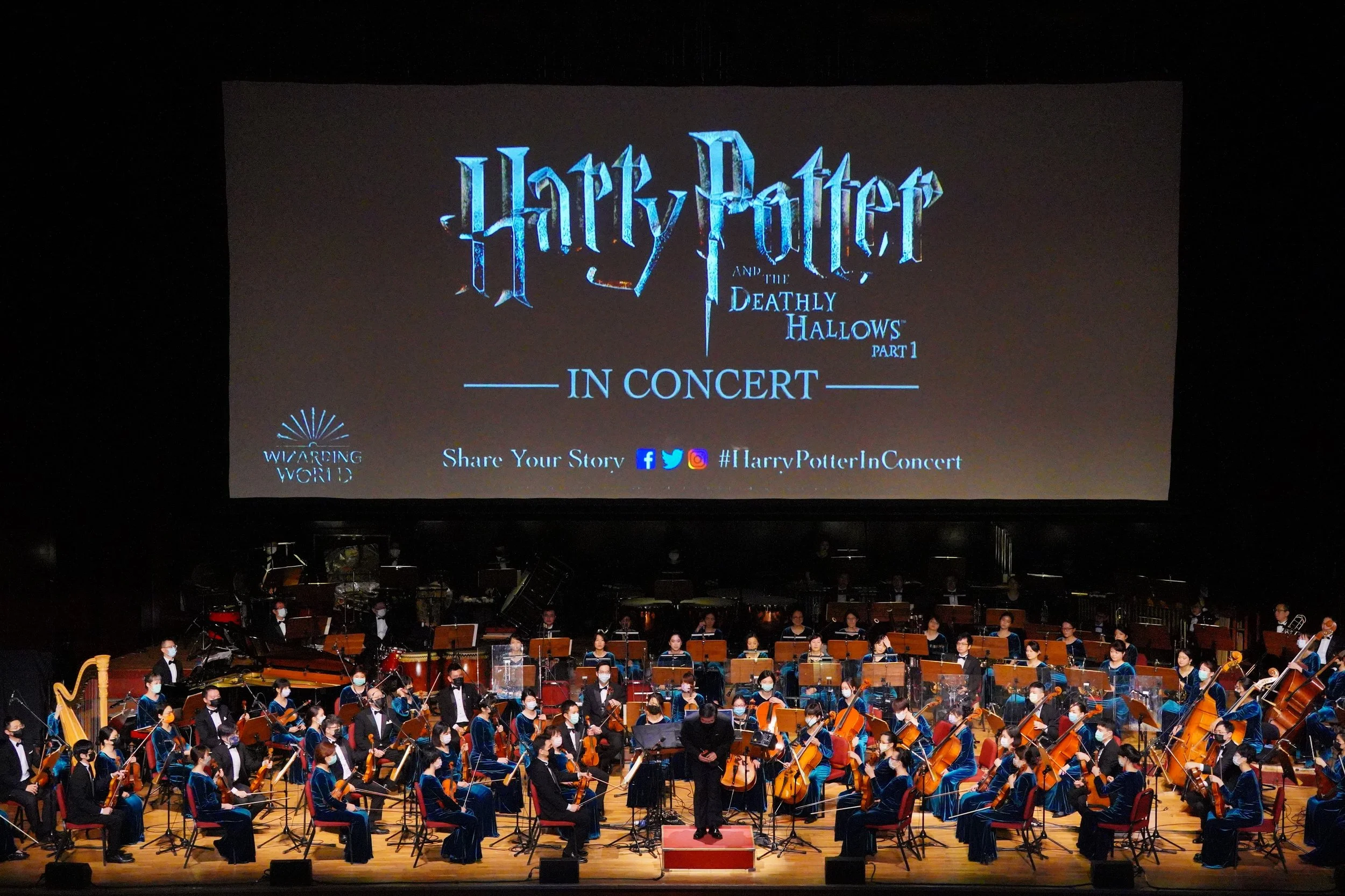 Harry Potter and The Deathly Hallows Part 1 In Concert