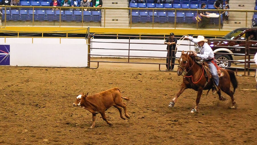 Hiawassee Pro Rodeo