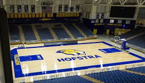LSU Tigers vs. Hofstra Pride