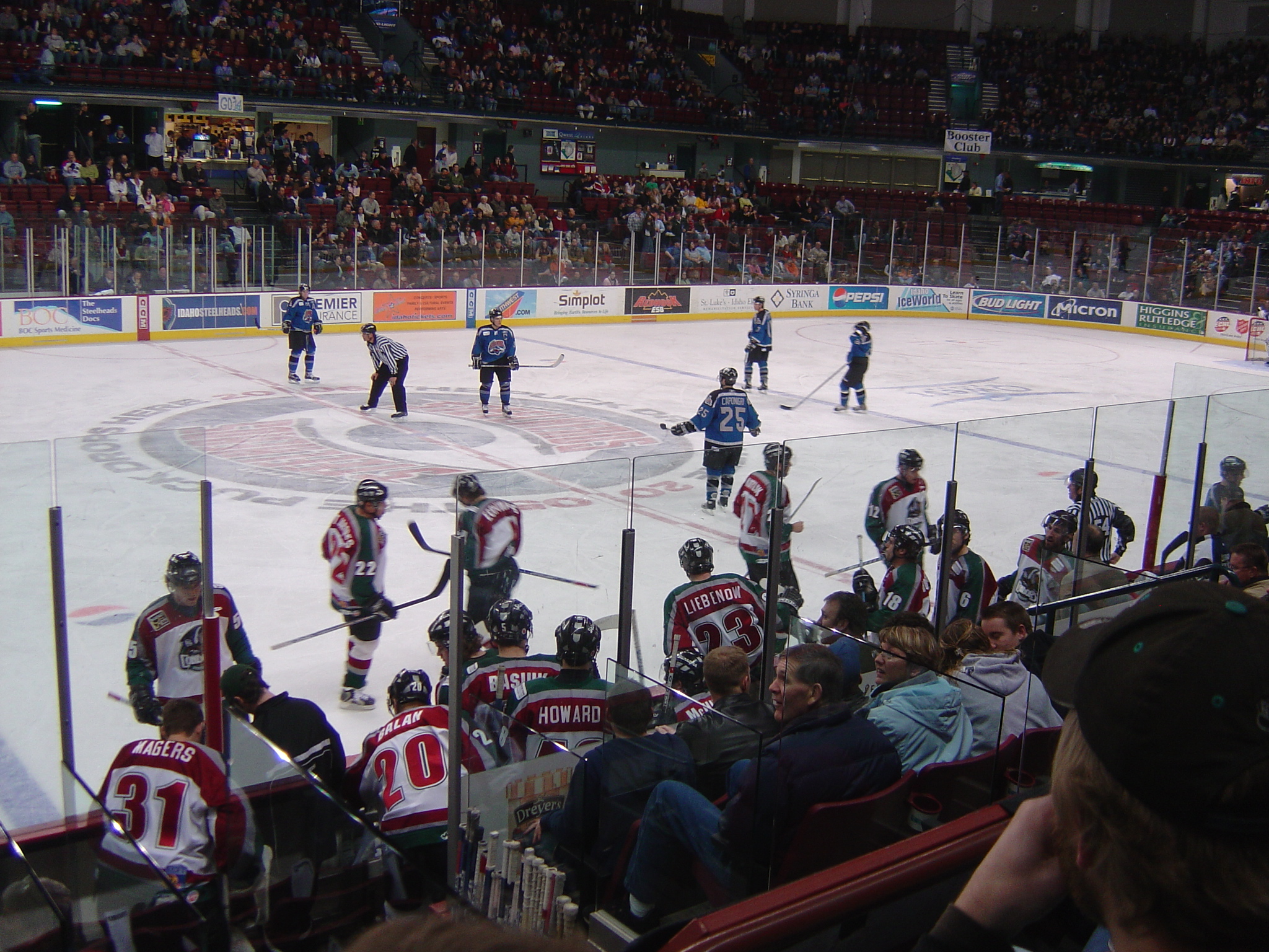 Idaho Steelheads