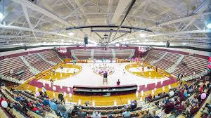 Arizona Wildcats Women's Basketball vs. Iona Gaels