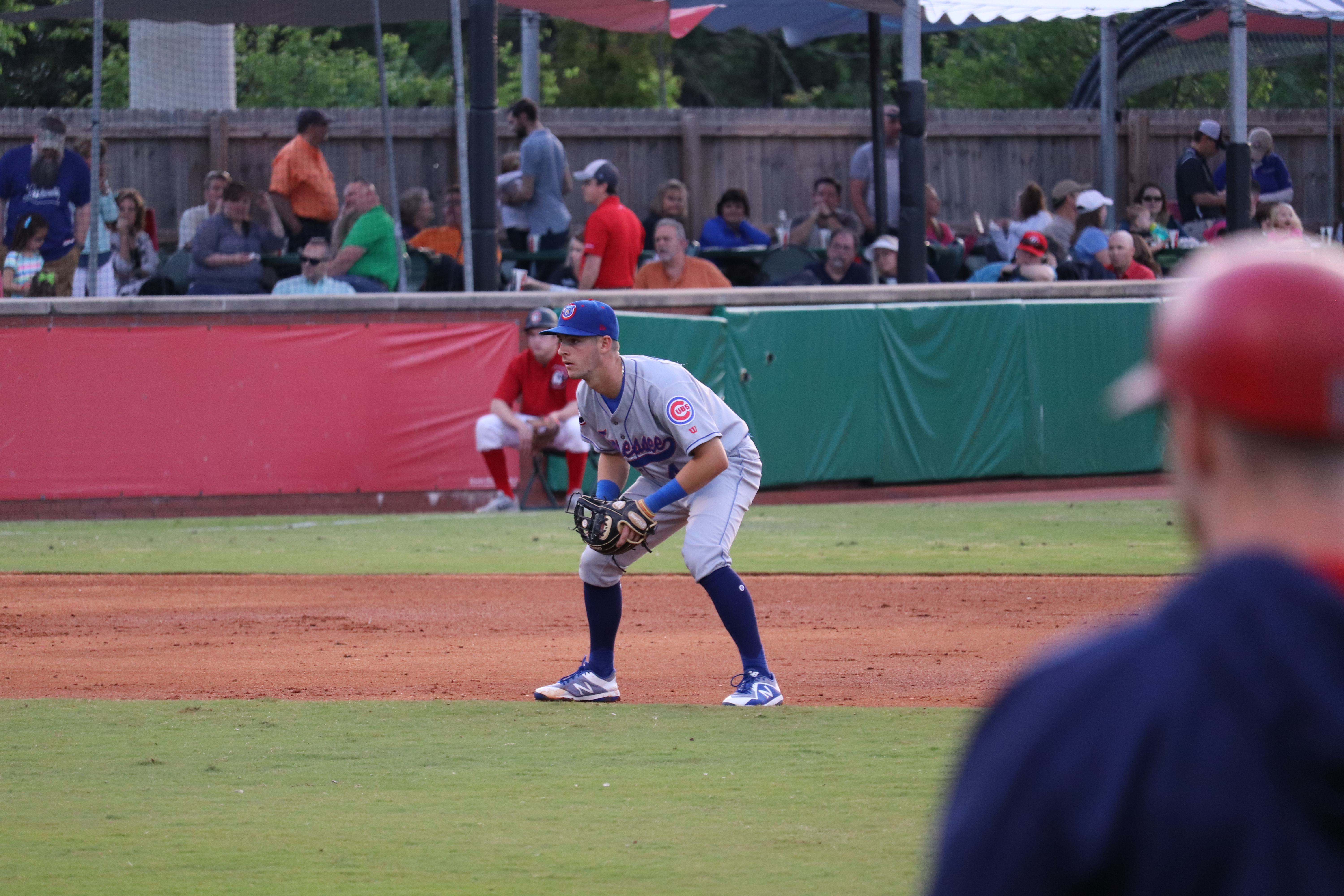Knoxville Smokies