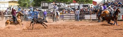Laramie Jubilee Days tickets in Laramie