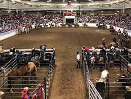 Lone Star Rodeo