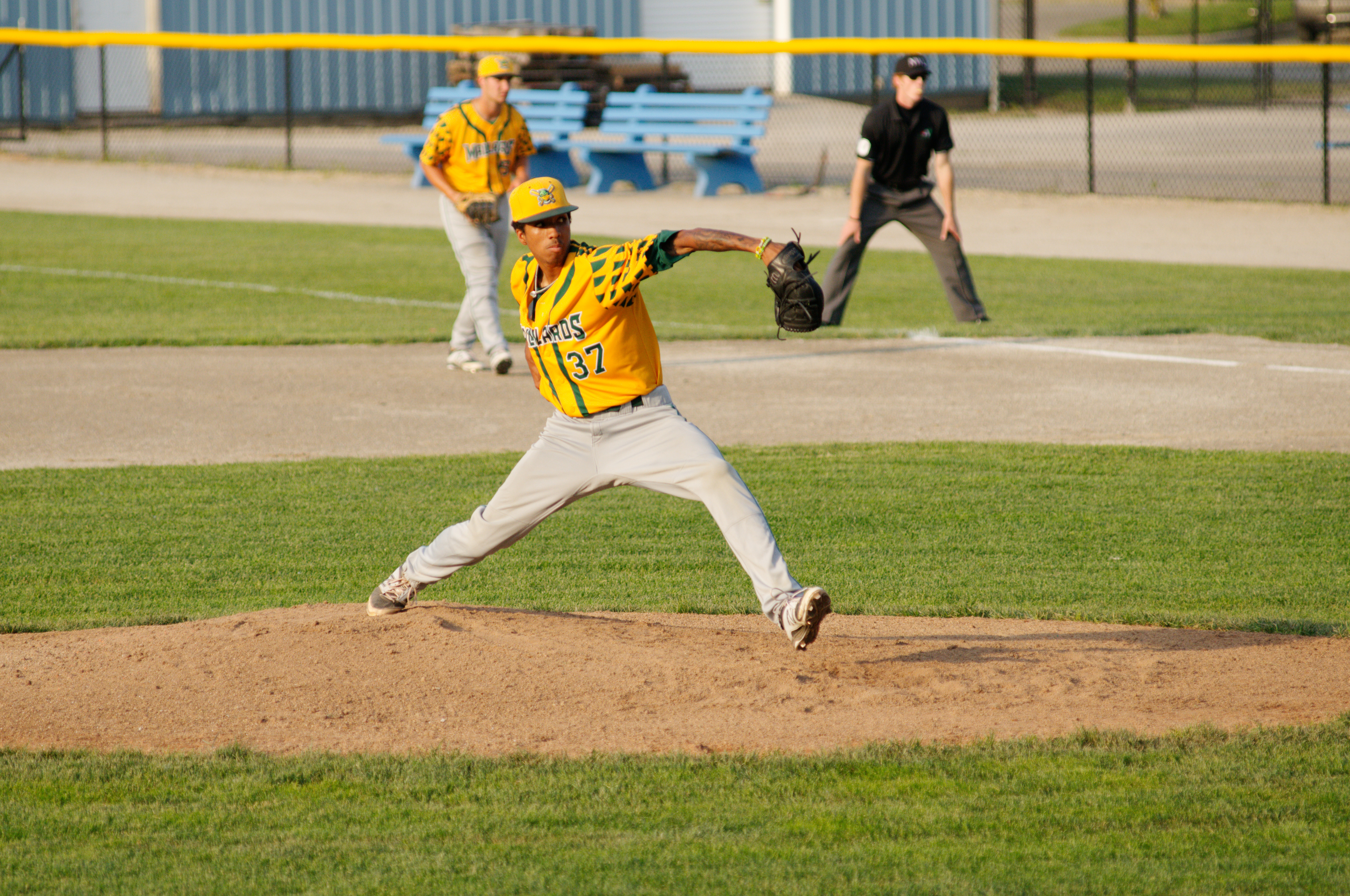 Madison Mallards