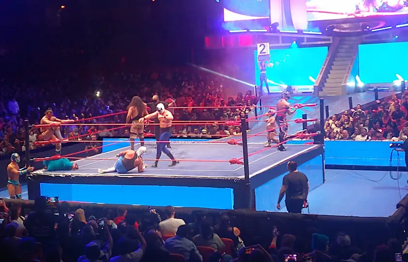 MaskedMania: Lucha Libre