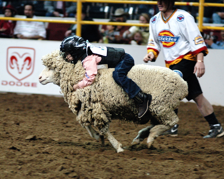 Mexican Rodeo Extravaganza