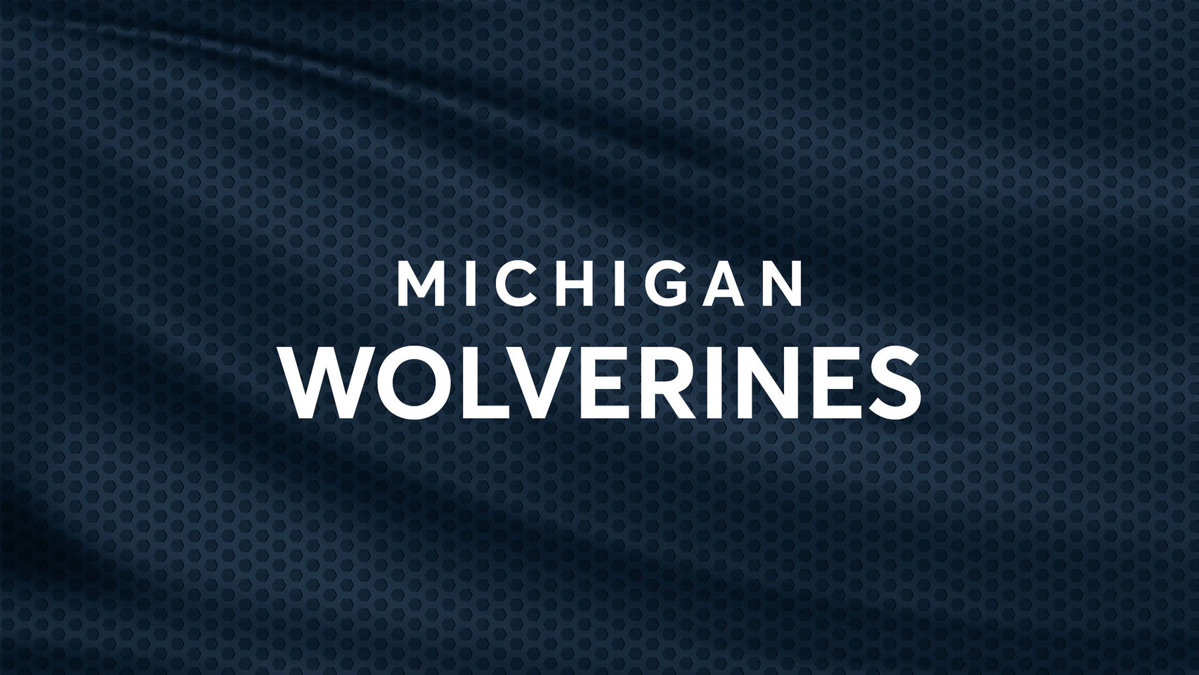 Michigan Wolverines