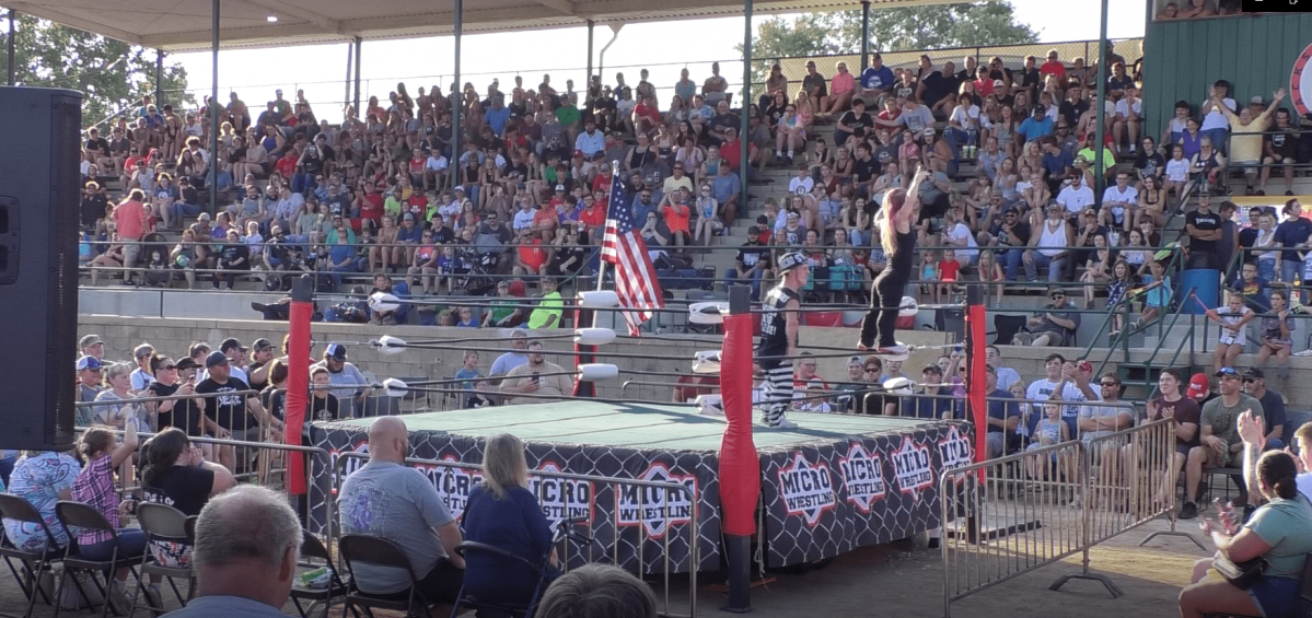Micro Wrestling