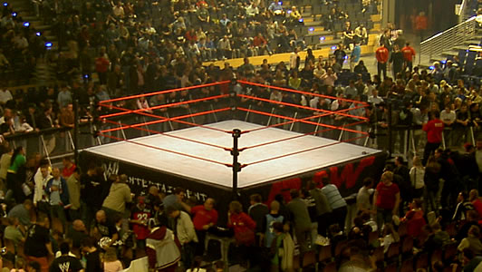 MicroMania Wrestling