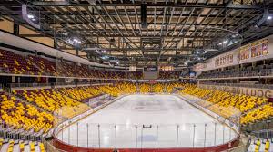 Minnesota Duluth Bulldogs Hockey