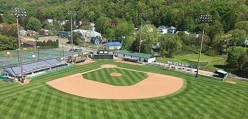 Mohawk Valley Diamonddawgs