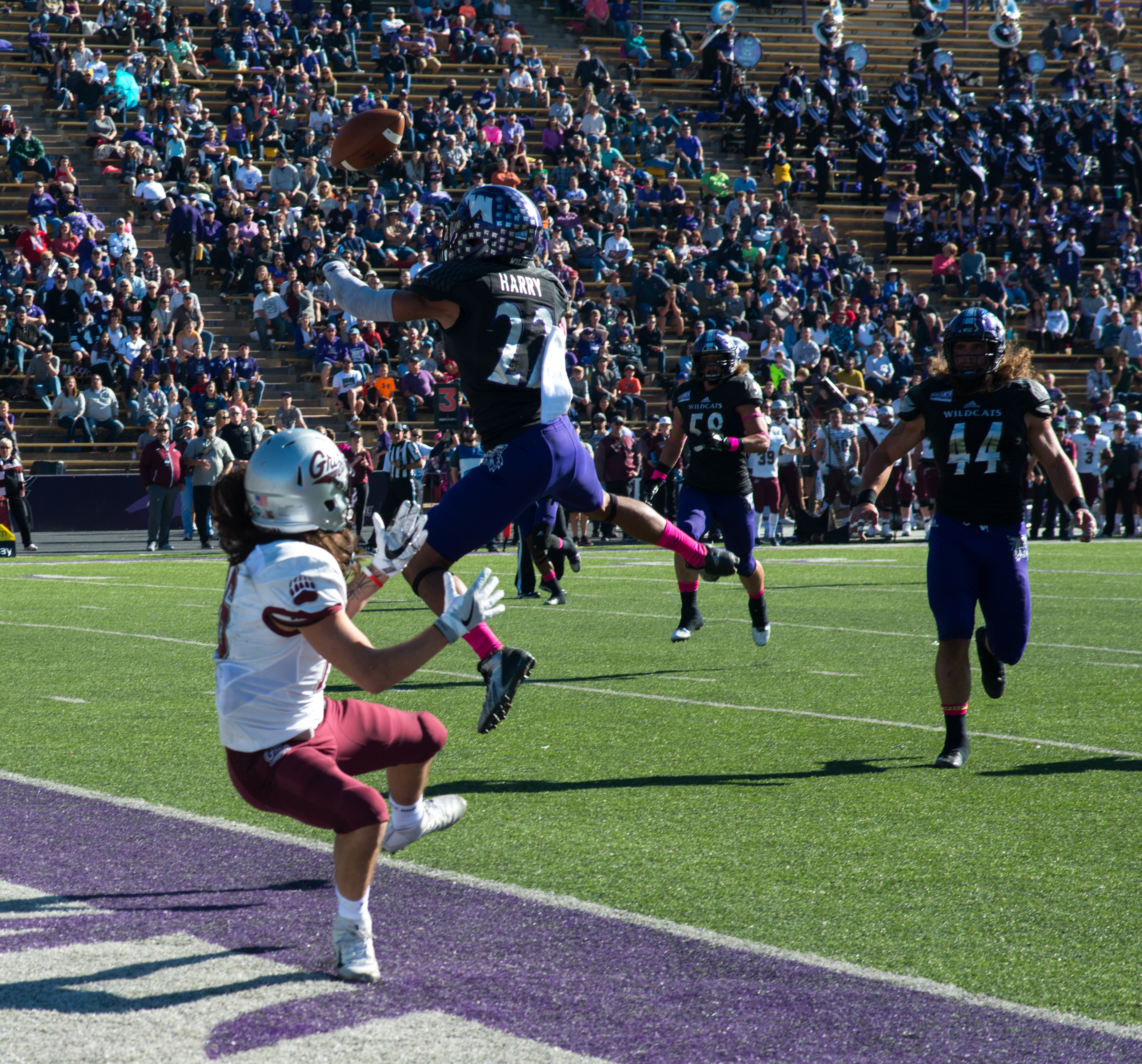 Montana Grizzlies Football