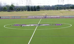 Niagara Purple Eagles Hockey