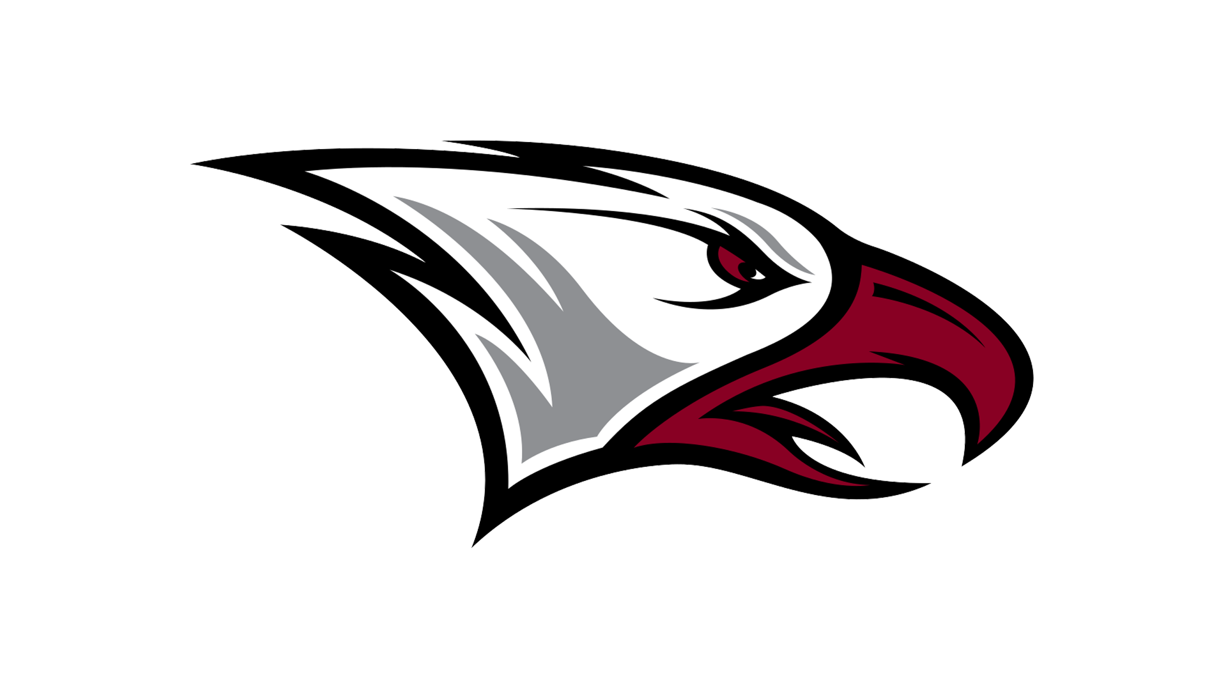 North Carolina Central Eagles vs. Howard Bison