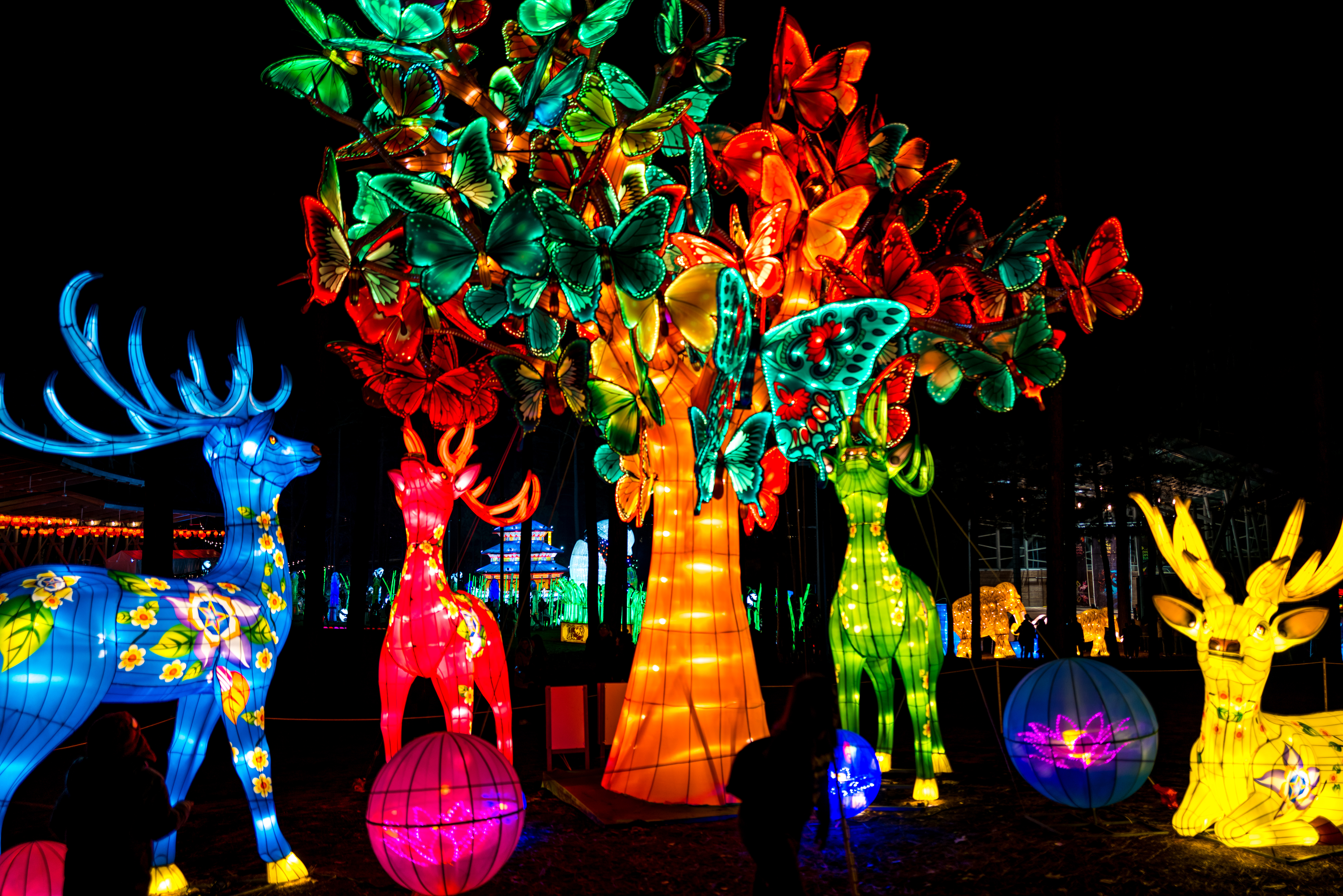 North Carolina Chinese Lantern Festival